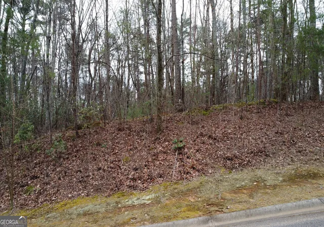 Photo 3 of Land for sale at Lot 1446 Glazenwood Dr, Clarkesville, GA 30523 | MLS# 10849428 | Listing updated on 2026-10-02