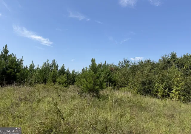 Photo 1 of Land for sale at 005 Long Branch Rd, Toomsboro, GA 31090 | MLS# 10841321 | Listing updated on 2026-09-25