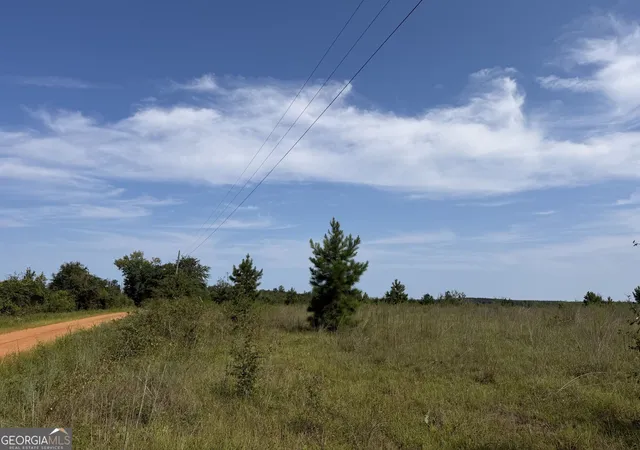 Photo 2 of Land for sale at 005 Long Branch Rd, Toomsboro, GA 31090 | MLS# 10841321 | Listing updated on 2026-09-25