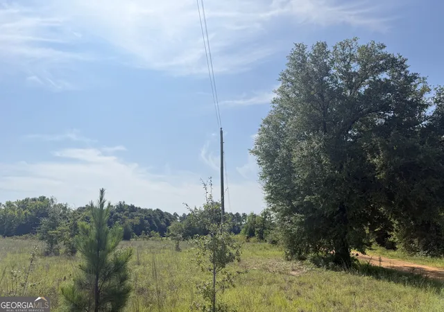 Photo 3 of Land for sale at 005 Long Branch Rd, Toomsboro, GA 31090 | MLS# 10841321 | Listing updated on 2026-09-25