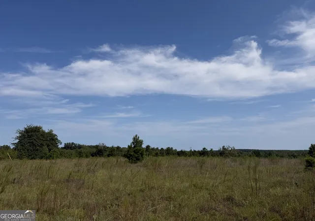 Photo 3 of Land for sale at 005 Long Branch Rd, Toomsboro, GA 31090 | MLS# 10841321 | Listing updated on 2026-09-25