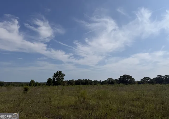 Photo 4 of Land for sale at 005 Long Branch Rd, Toomsboro, GA 31090 | MLS# 10841321 | Listing updated on 2026-09-25