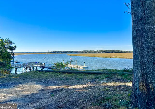 Photo 3 of Land for sale at 1334 Azalea Rd Ne, Townsend, GA 31331 | MLS# 10837612 | Listing updated on 2026-09-15