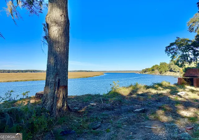 Photo 3 of Land for sale at 1334 Azalea Rd NE, Townsend, GA 31331 | MLS# 10837612 | Listing updated on 2026-09-15