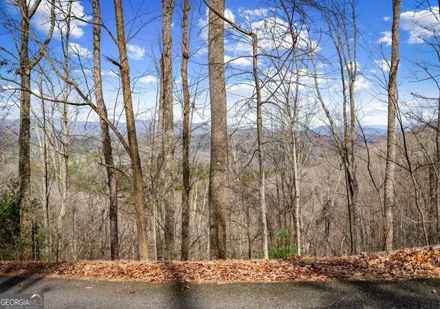 Photo 1 of Land for sale at Lot 20 Raven Ridge Cir, Mineral Bluff, GA 30559 | MLS# 10841325 | Listing updated on 2026-09-21