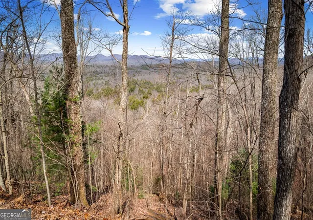 Photo 2 of Land for sale at Lot 20 Raven Ridge Cir, Mineral Bluff, GA 30559 | MLS# 10841325 | Listing updated on 2026-09-21