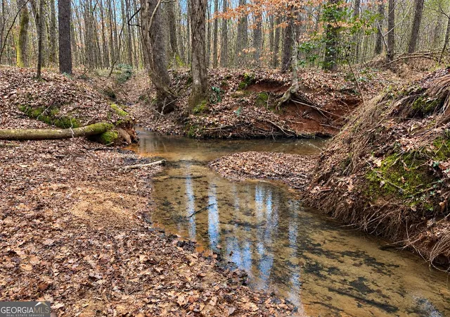 Photo 4 of Land for sale at 40 Acres Pobiddy Rd, Thomaston, GA 30286 | MLS# 10838071 | Listing updated on 2026-09-16