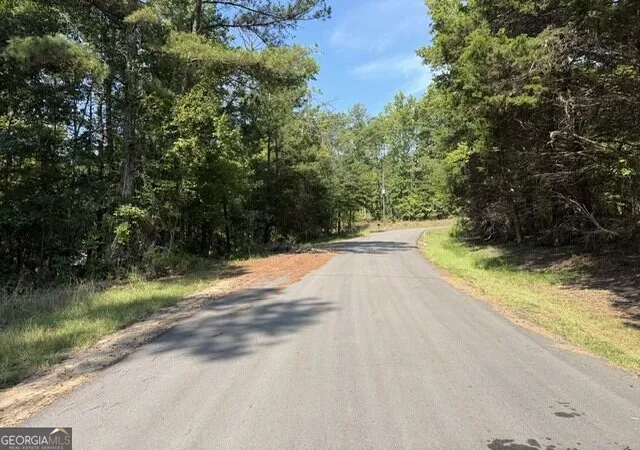 Photo 1 of Single family home for sale at 462 Amaryllis Dr, Sparta, GA 31087 | MLS# 10839085 | Listing updated on 2026-09-24