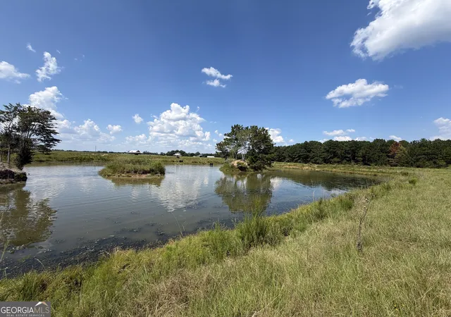Land for sale at 23.03 Acres Carters Brg Rd, Claxton, GA 30417 | MLS# 10837911