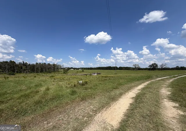 Photo 3 of House for sale at 2303 Acres Carters Brg Rd, Claxton, GA 30417 | MLS# 10837911 | Listing updated on 2026-09-15