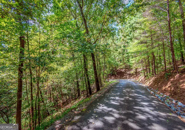 Photo 3 of Land for sale at Lot 103r Mountain Crk Holw Dr, Talking Rock, GA 30175 | MLS# 10852752 | Listing updated on 2026-10-08
