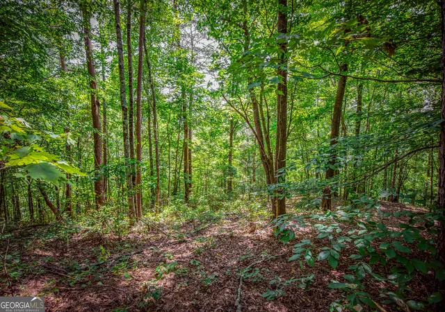 Photo 4 of Land for sale at Lot 103r Mountain Crk Holw Dr, Talking Rock, GA 30175 | MLS# 10852752 | Listing updated on 2026-10-08
