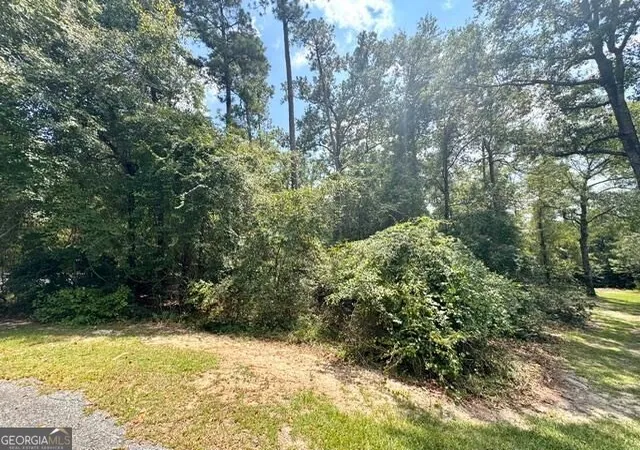 Photo 3 of Land for sale at Lot 16 Old Ml Way, Statesboro, GA 30461 | MLS# 10837432 | Listing updated on 2026-09-15