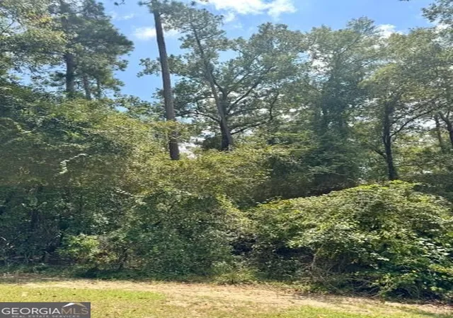 Photo 4 of Land for sale at Lot 16 Old Ml Way, Statesboro, GA 30461 | MLS# 10837432 | Listing updated on 2026-09-15