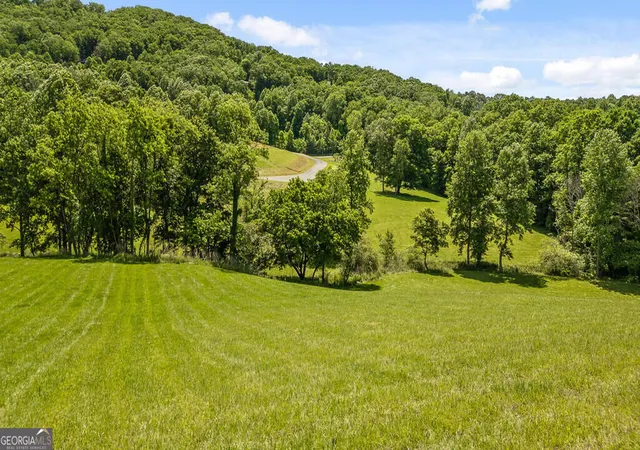 Photo 1 of Land for sale at Lot 11 Squirrel Hunting Rd, Morganton, GA 30560 | MLS# 10844191 | Listing updated on 2026-09-11