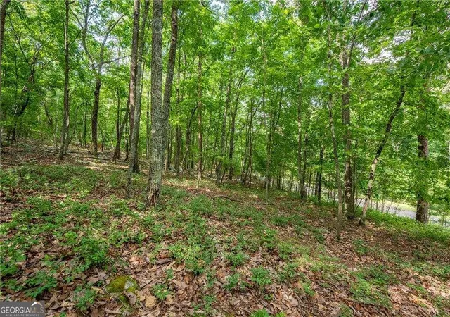 Photo 2 of Land for sale at 307 Stonehaven Ct, Jasper, GA 30143 | MLS# 10838747 | Listing updated on 2026-09-16
