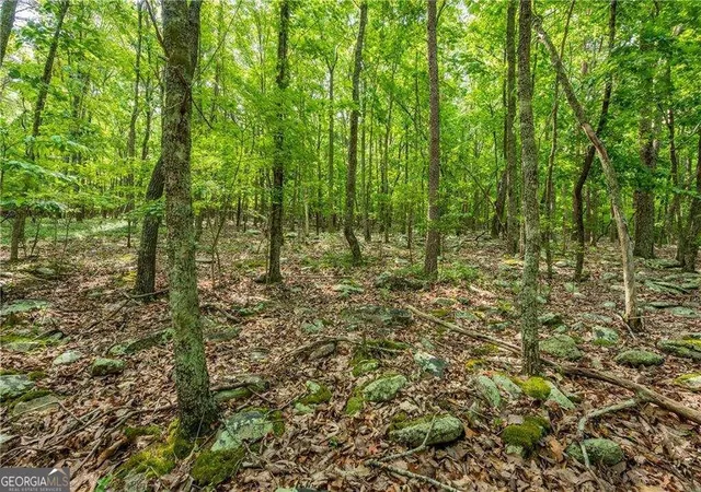 Photo 3 of Land for sale at 307 Stonehaven Ct, Jasper, GA 30143 | MLS# 10838747 | Listing updated on 2026-09-16