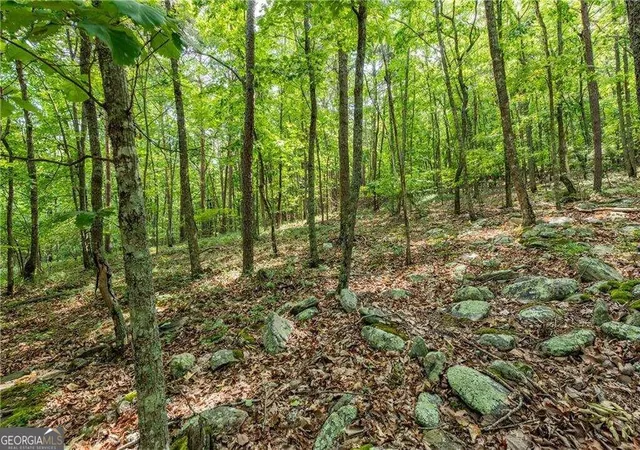 Photo 4 of Land for sale at 307 Stonehaven Ct, Jasper, GA 30143 | MLS# 10838747 | Listing updated on 2026-09-16