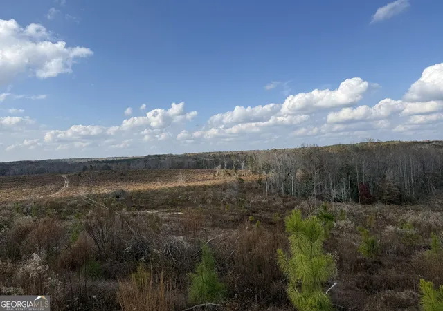 Photo 1 of Land for sale at 994 Joe Jones Rd, Rupert, GA 31081 | MLS# 10844790 | Listing updated on 2026-09-14