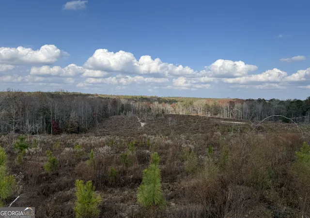 Photo 2 of Land for sale at 994 Joe Jones Rd, Rupert, GA 31081 | MLS# 10844790 | Listing updated on 2026-09-14