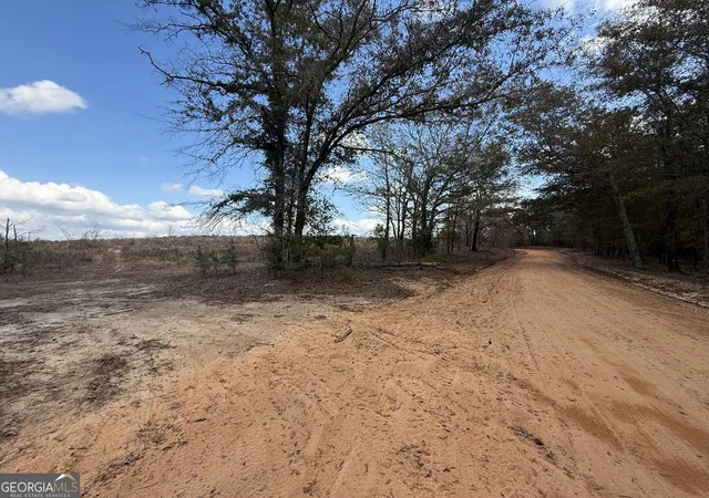 Photo 3 of Land for sale at 994 Joe Jones Rd, Rupert, GA 31081 | MLS# 10844790 | Listing updated on 2026-09-14
