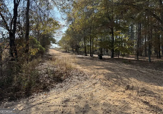 Photo 3 of Land for sale at 994 Joe Jones Rd, Rupert, GA 31081 | MLS# 10844790 | Listing updated on 2026-09-14
