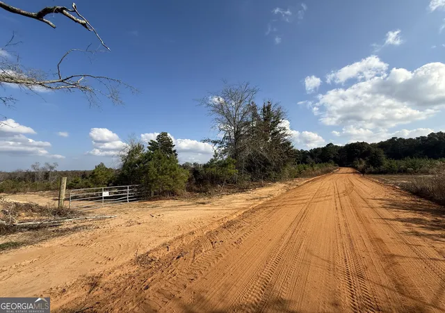 Photo 4 of Land for sale at 994 Joe Jones Rd, Rupert, GA 31081 | MLS# 10844790 | Listing updated on 2026-09-14