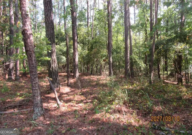 Photo 1 of Land for sale at 704 S Chickasaw Trl Sw, Sparta, GA 31087 | MLS# 10839733 | Listing updated on 2026-09-17