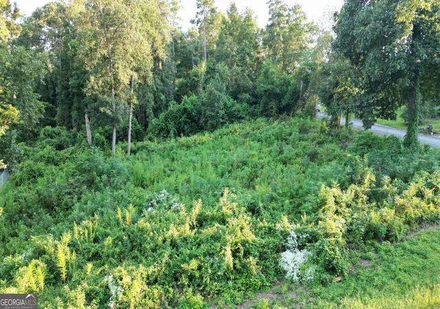 Photo 3 of Land for sale at 121 Blue Ridge Ln, Warner Robins, GA 31088 | MLS# 10838889 | Listing updated on 2026-09-14