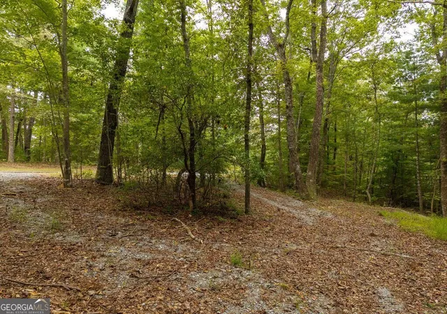 Photo 2 of Land for sale at 0 Abbott Ml Rd, Ellijay, GA 30540 | MLS# 10872715 | Listing updated on 2026-10-28
