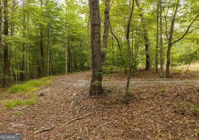 Photo 3 of Land for sale at 0 Abbott Ml Rd, Ellijay, GA 30540 | MLS# 10872715 | Listing updated on 2026-10-28