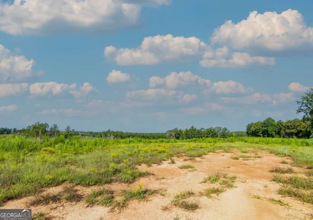 Photo 1 of Land for sale at Tract 5 Carlisle Gap Rd, Woodland, GA 31836 | MLS# 10837455 | Listing updated on 2026-09-21