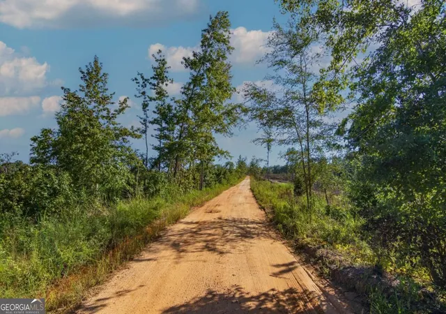 Photo 2 of Land for sale at Tract 5 Carlisle Gap Rd, Woodland, GA 31836 | MLS# 10837455 | Listing updated on 2026-09-21