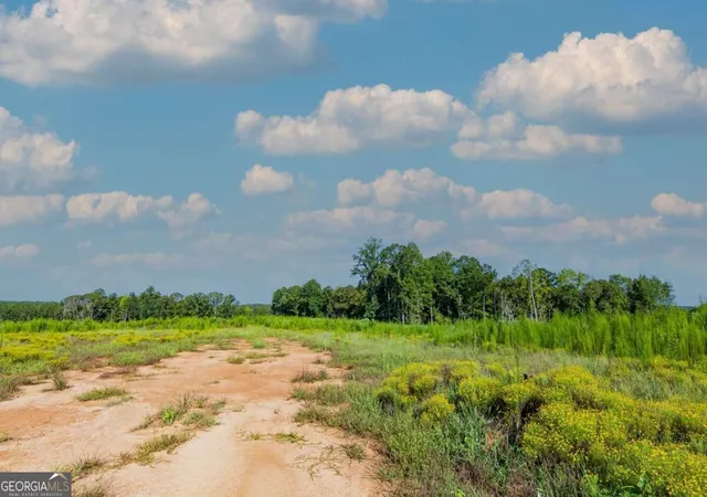Photo 3 of Land for sale at Tract 5 Carlisle Gap Rd, Woodland, GA 31836 | MLS# 10837455 | Listing updated on 2026-09-21