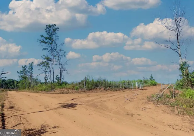 Photo 3 of Land for sale at Tract 5 Carlisle Gap Rd, Woodland, GA 31836 | MLS# 10837455 | Listing updated on 2026-09-21
