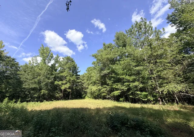 Land for sale at 2 Cunningham Rd, Greensboro, GA 30642 | MLS# 10842486