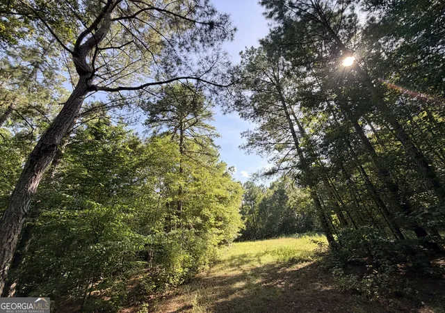 Photo 2 of Land for sale at 2 Cunningham Rd, Greensboro, GA 30642 | MLS# 10842486 | Listing updated on 2026-09-21