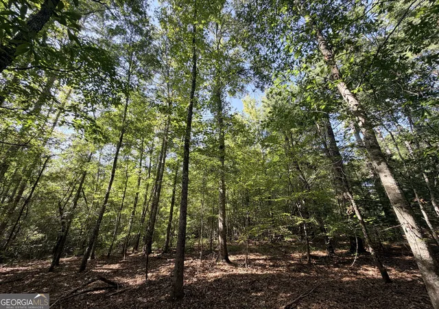 Photo 3 of Land for sale at 2 Cunningham Rd, Greensboro, GA 30642 | MLS# 10842486 | Listing updated on 2026-09-21