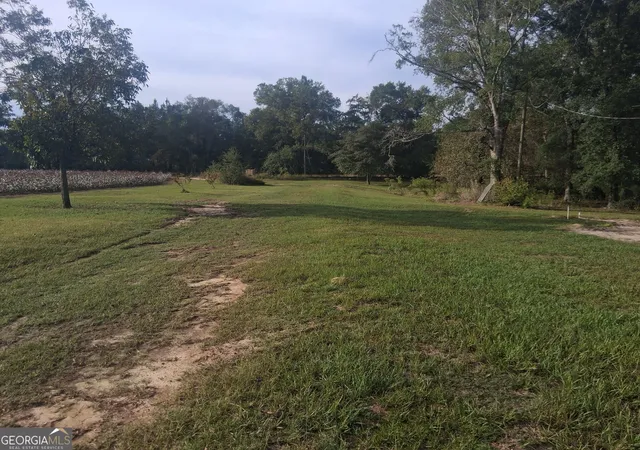 Photo 2 of Single family home for sale at 1443 Old Bethel Rd, Chester, GA 31012 | MLS# 10869795 | Listing updated on 2026-10-28