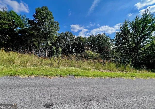 Photo 3 of Land for sale at T7 Talona Mountain Rd, Ellijay, GA 30536 | MLS# 10850526 | Listing updated on 2026-10-05