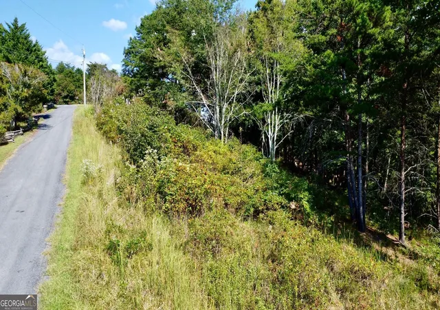 Photo 3 of Land for sale at T7 Talona Mountain Rd, Ellijay, GA 30536 | MLS# 10850526 | Listing updated on 2026-10-05