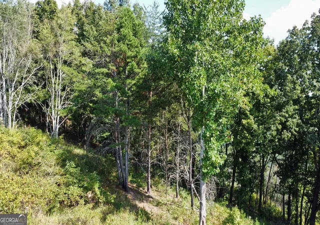 Photo 4 of Land for sale at T7 Talona Mountain Rd, Ellijay, GA 30536 | MLS# 10850526 | Listing updated on 2026-10-05