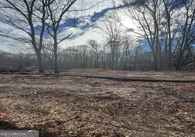 Photo 2 of Land for sale at 231 Roosevelt Cir, Bowman, GA 30624 | MLS# 10840358 | Listing updated on 2026-09-18