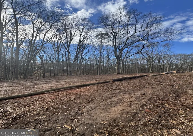 Photo 3 of Land for sale at 231 Roosevelt Cir, Bowman, GA 30624 | MLS# 10840358 | Listing updated on 2026-09-18