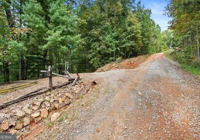 Land for sale at 23 C Double Knob, Cherry Log, GA 30522 | MLS# 10851378
