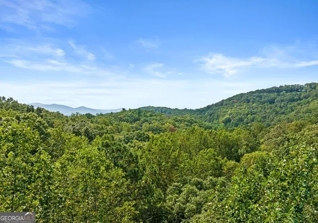 Photo 2 of Land for sale at 23 C Double Knob, Cherry Log, GA 30522 | MLS# 10851378 | Listing updated on 2026-10-07
