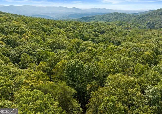 Photo 3 of Land for sale at 23 C Double Knob, Cherry Log, GA 30522 | MLS# 10851378 | Listing updated on 2026-10-07