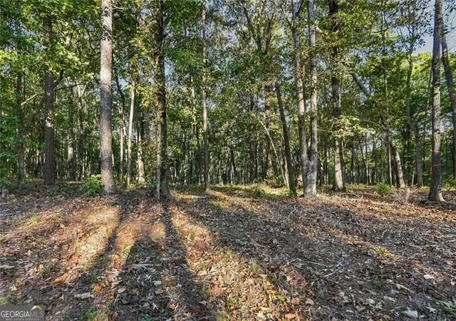 Photo 1 of Land for sale at 735 Chattin, Canton, GA 30115 | MLS# 10874272 | Listing updated on 2026-10-30