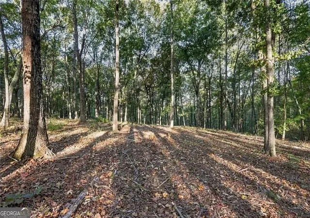 Photo 2 of Land for sale at 735 Chattin, Canton, GA 30115 | MLS# 10874272 | Listing updated on 2026-10-30