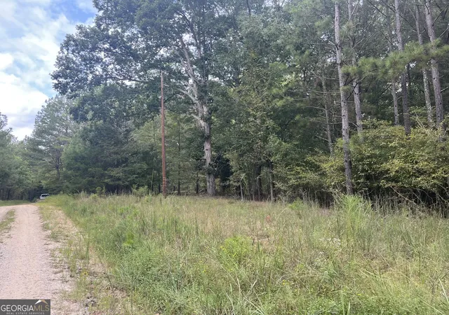 Photo 1 of Land for sale at 0 Vinson Rd, Tignall, GA 30668 | MLS# 10849906 | Listing updated on 2026-10-09